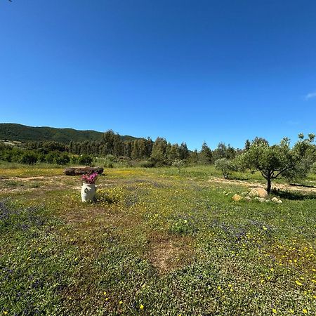 B&B Sensorial Experience Villamassargia Dış mekan fotoğraf