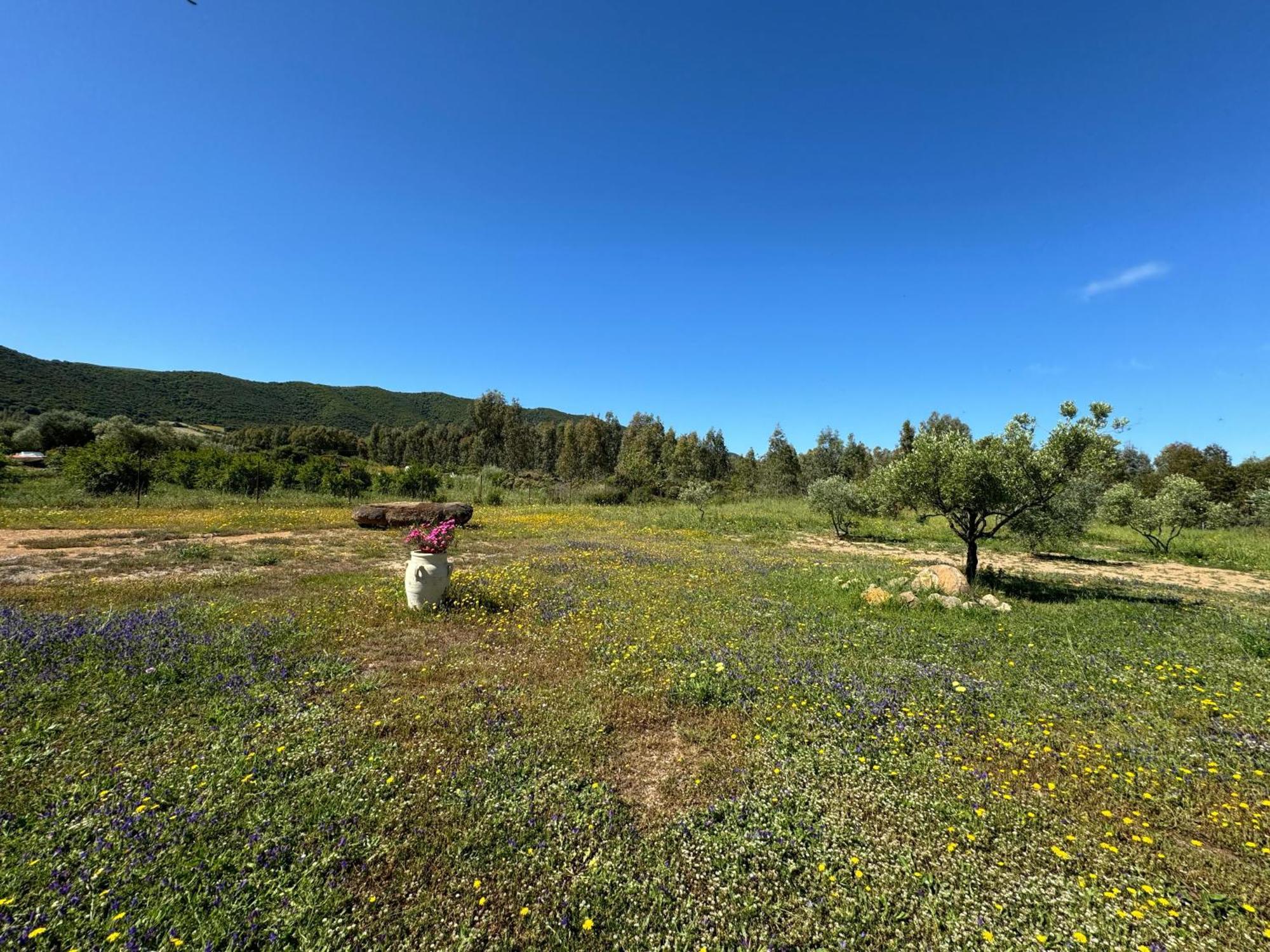 B&B Sensorial Experience Villamassargia Dış mekan fotoğraf